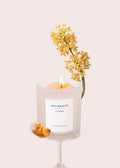 Joy+Wealth Crystal Candle